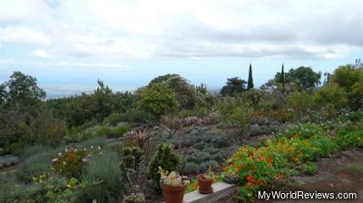 Plants at the lavender farm - there is also a nice view