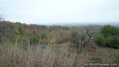 A view of trees overlooking Burlington