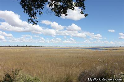 The view from the lookout deck at Camp Moremi