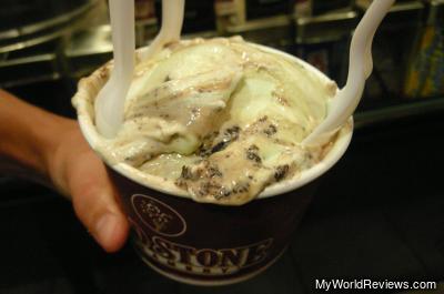 Mint Mint Chocolate Chip