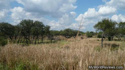 Kilimanjaro Safaris
