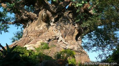 Tree of Life
