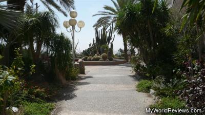 Inside the Ein Gedi Botanical Gardens