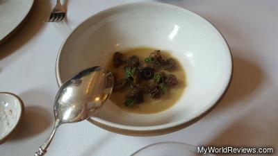 Morel