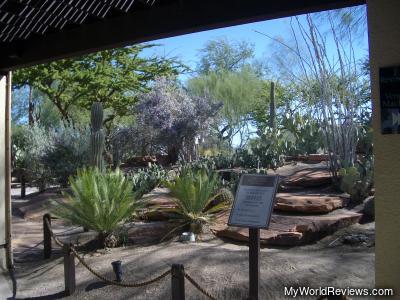 Botanical Cactus Gardens