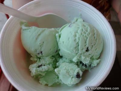 Mint Chocolate Chip