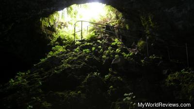 The entrance of the cave (looking back from inside the cave)