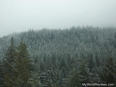 Another view from the Longmire Parking Lot