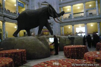 Inside the Natural History Museum