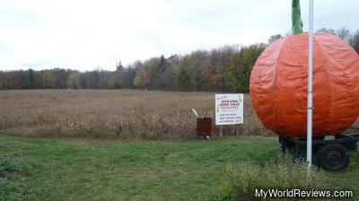 The Corn Maze