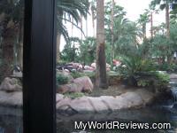Flamingos from the seating area at the buffet