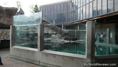 Fur Seal Tank