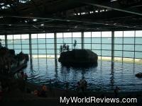 The Oceanarium