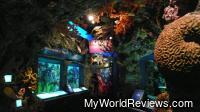 One of the exhibits