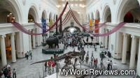 The Main Hall