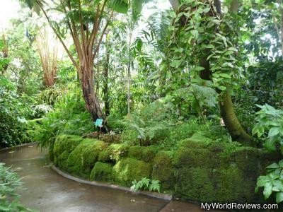 Inside the Conservatory